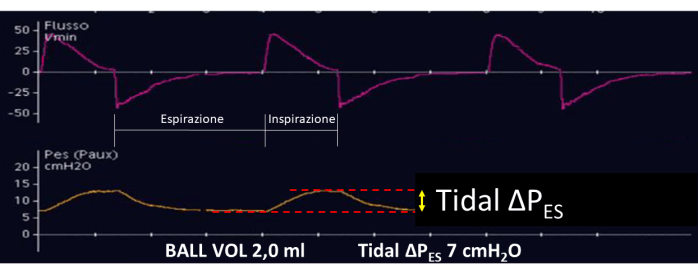 Presentazione standard1