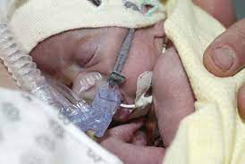 Questa immagine ha l'attributo alt vuoto; il nome del file è image-2.jpeg